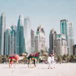 동선 최적화 일정 설계