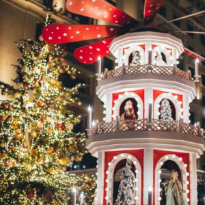 세상에서 가장 아름다운 달라스 크리스마스 야경투어 (5시간)