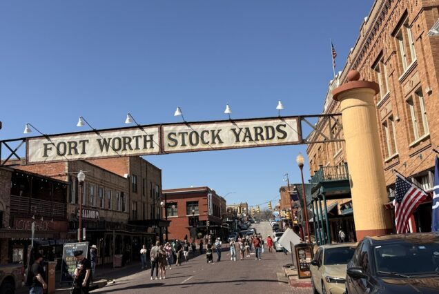 달라스 + 포트워스 투어 (1일)