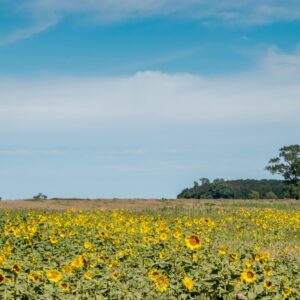 팔로듀로 캐년 당일치기 프리미엄 로드트립